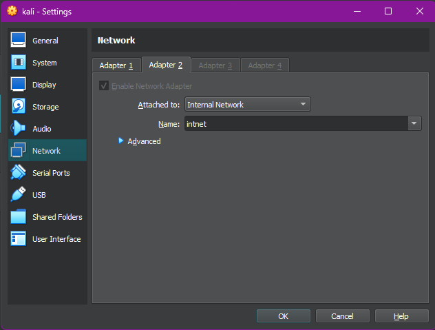 Screenshot of Kali network setting